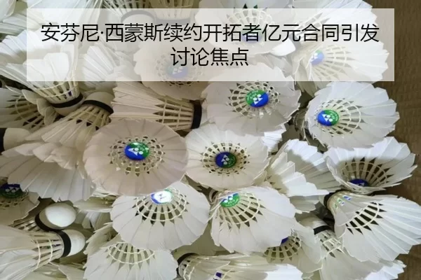 an-fen-ni-xi-meng-si-xu-yue-kai-tuo-zhe-yi-yuan-he-tong-yin-fa-tao-lun-jiao-dian-2-503.jpg